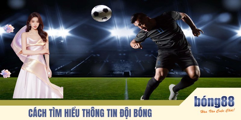 Cách tìm hiểu thông tin đội bóng trước khi bắt kèo ra sao?