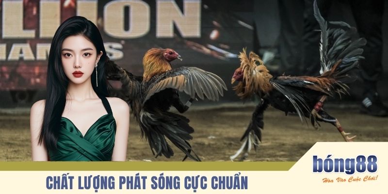 Chất lượng phát sóng cực chuẩn