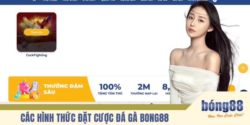 Các hình thức đặt cược đá gà BONG88