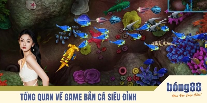 Tổng quan về game bắn cá siêu đỉnh