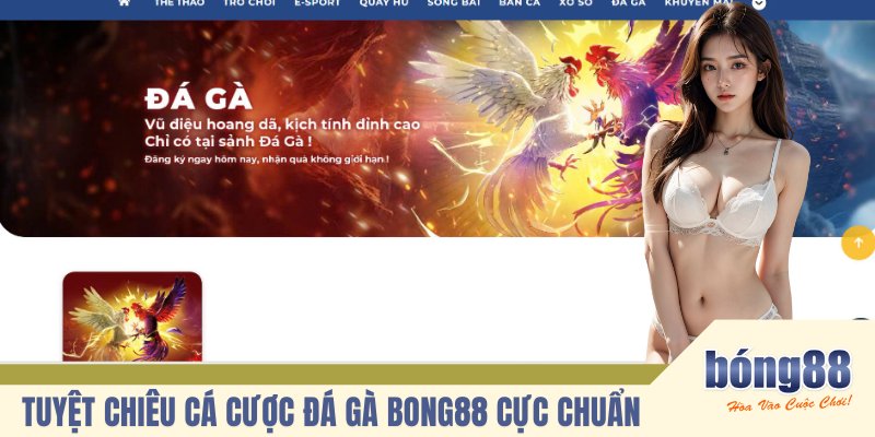 Tuyệt chiêu cá cược đá gà BONG88 cực chuẩn 
